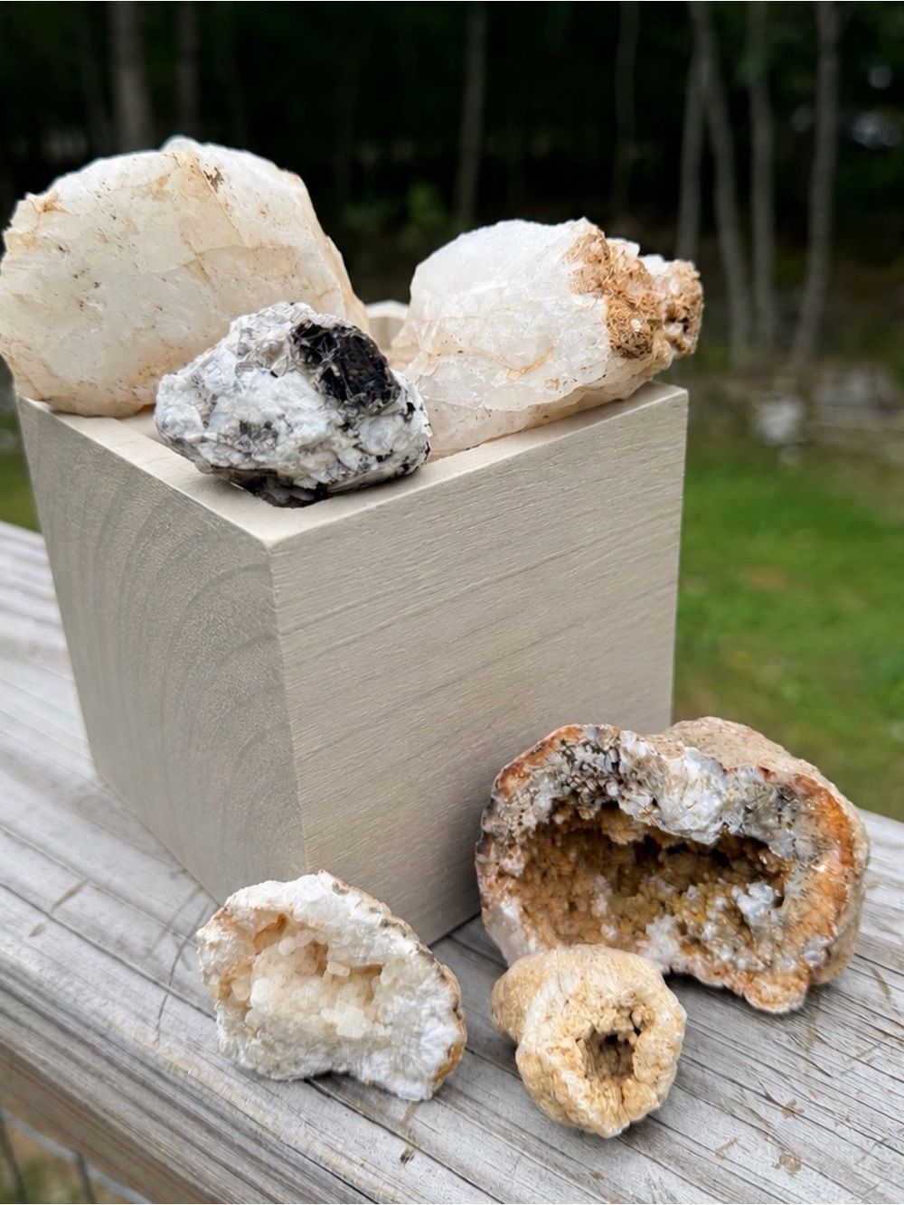 Crystal & Mineral Collection | Raw | 6 Piece Set